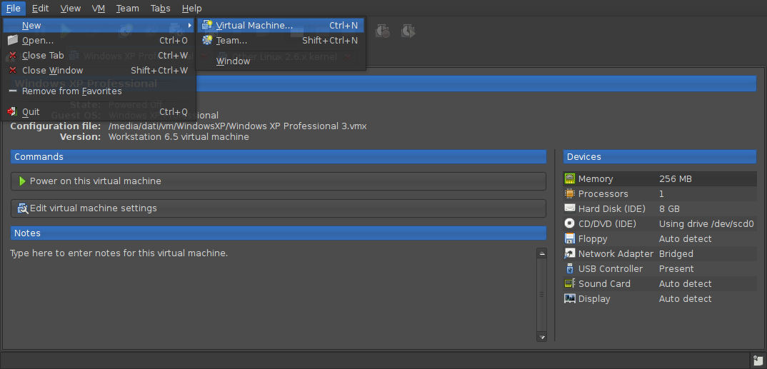 Screenshot-Windows XP Professional - VMware Workstation